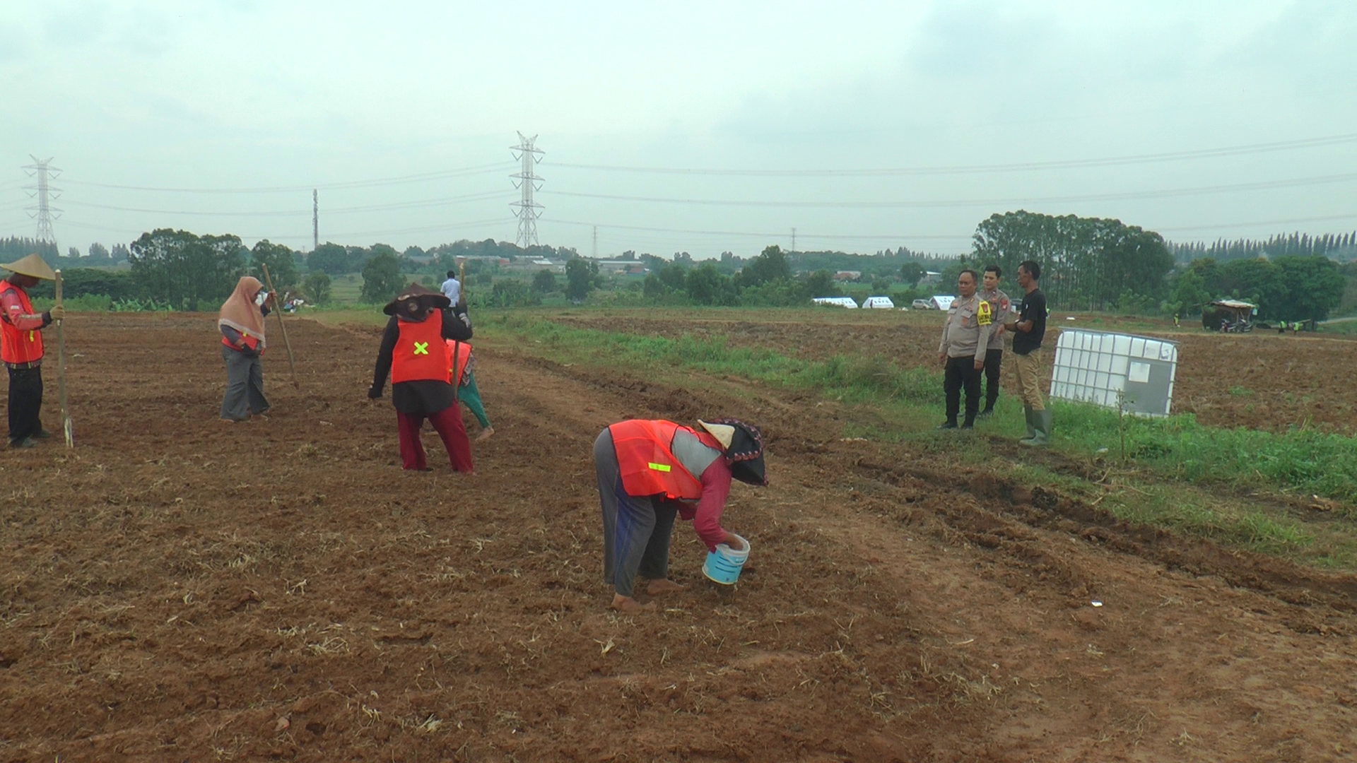 Sinergi Polri dan Petani, Program Jagung di Bekasi Dukung Ketahanan Pangan Nasional