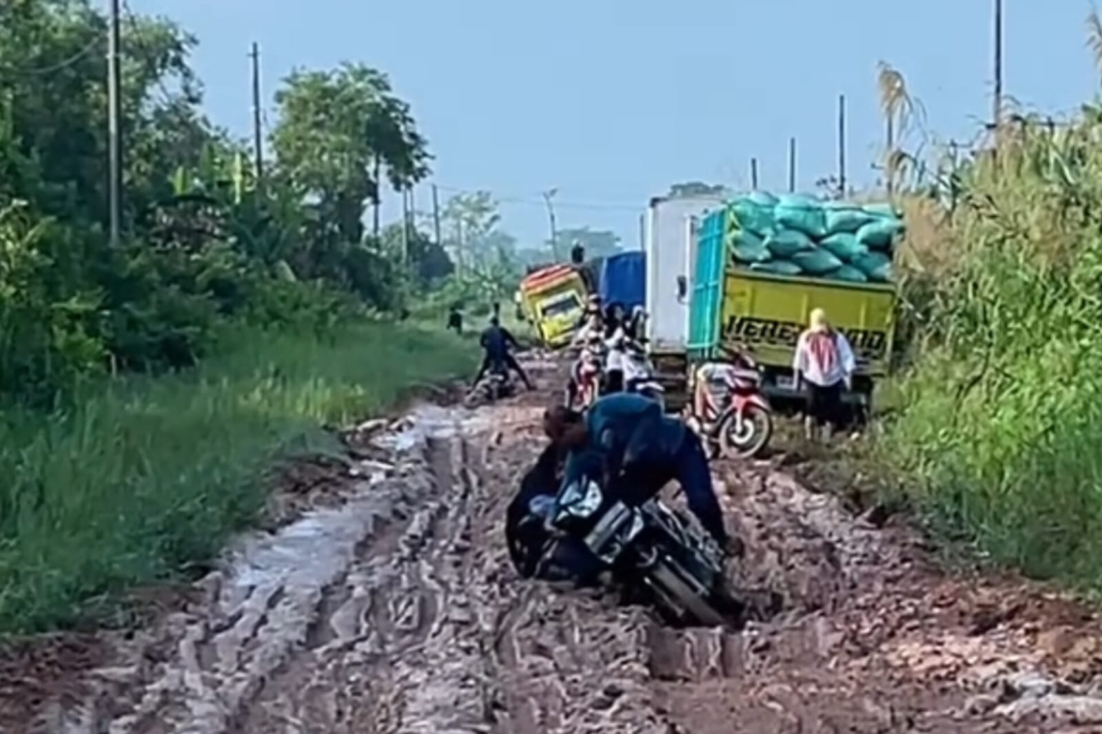 MASYARAKAT PROTES KERAS! Jalan Rusak Parah di Tulangbawang Dibiarkan, Janji Kampanye Hanya Angin Lalu