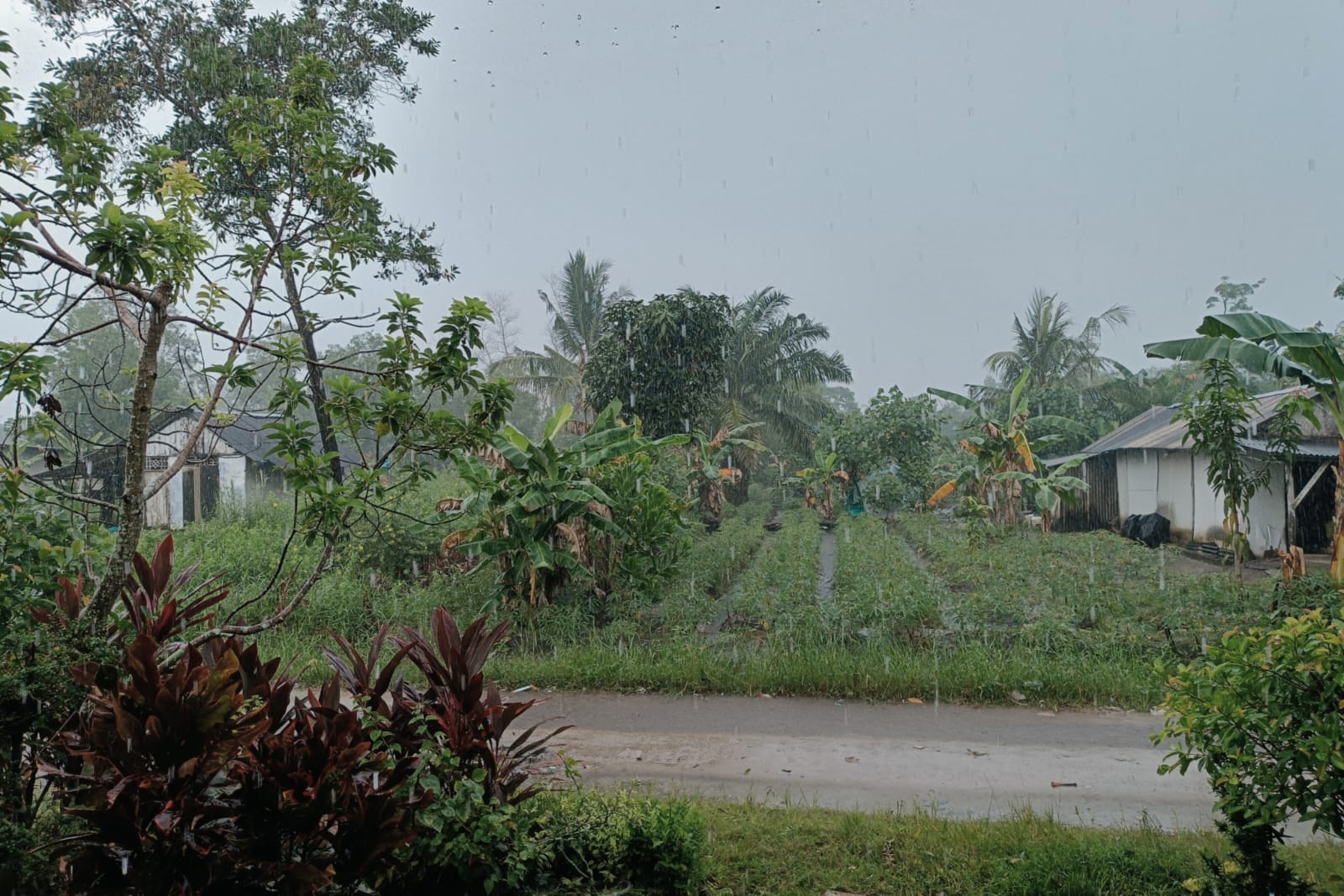 HUJAN MENGGUYUR KAMPUNG PASIRANJAYA DARI PAGI, POTENSI CUACA EKSTREM MENGINTAI TULANGBAWANG HINGGA 13 MEI 2026