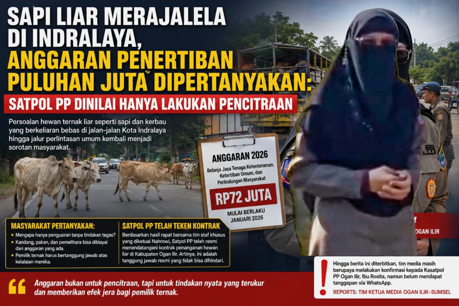 ANGGARAN RP72 JUTA UNTUK PENERTIBAN, TERNAK LIAR MASIH BERKELIARAN DI JALUR UMUM INDRALAYA: KEMANA PERAN SATPOL PP OGAN ILIR DAN KASATNYA, ROSITA?