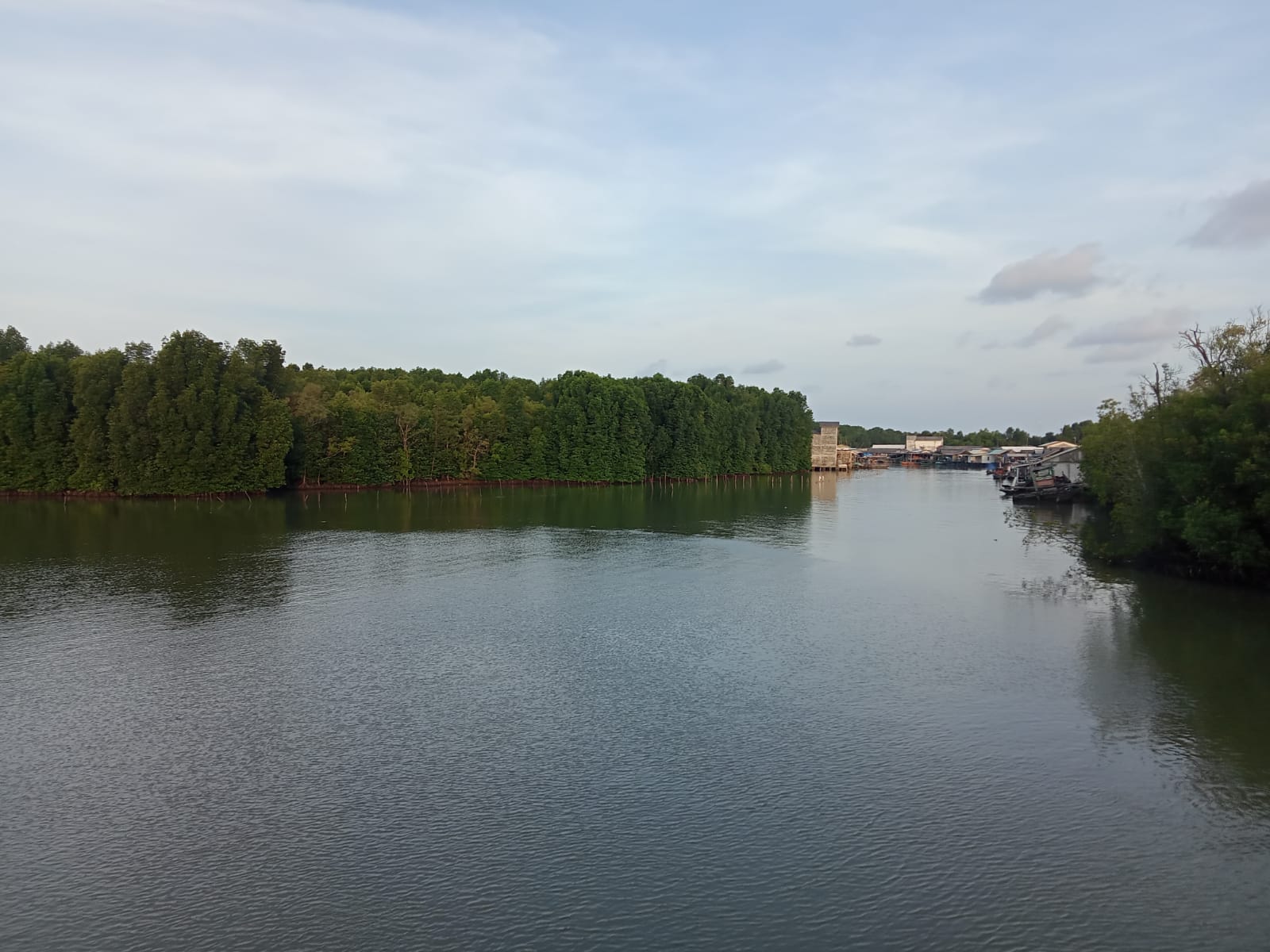 KAMPUNG SUNGAI BURUNG – PERMATA PESISIR TIMUR TULANG BAWANG YANG DILINDUNGI HUTAN MANGROVE DAN KEKAYAAN LAUT MELIMPAH